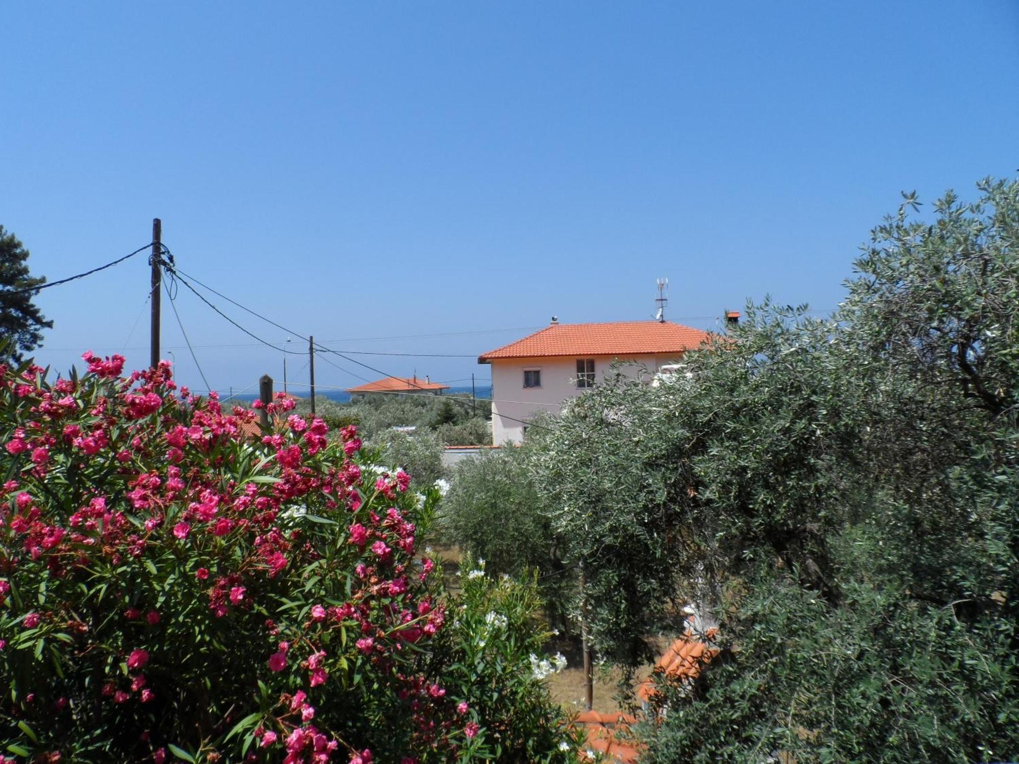 Aparthotel Amarilia à Skala Rachoni  Extérieur photo
