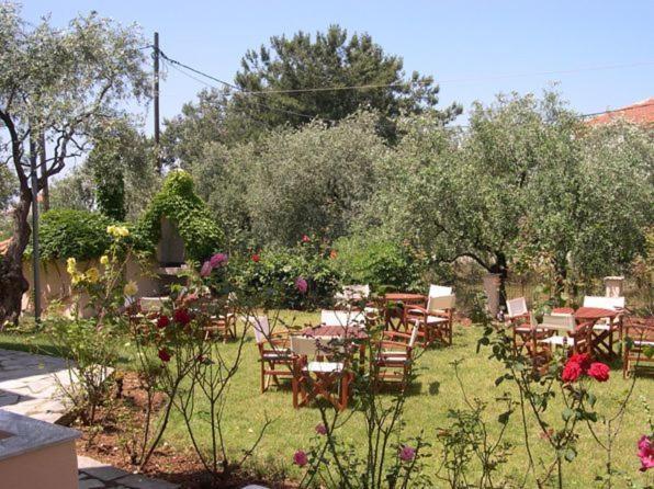 Aparthotel Amarilia à Skala Rachoni  Extérieur photo